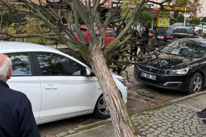 Bursa’da ağaç araçların üzerine devrildi