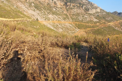 Antalya'da dağda mantar toplarken fenalaşan adam hayatını kaybetti