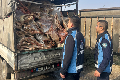 Gaziantep’te kamyonet kasasında kilolarca bozuk et ele geçirildi