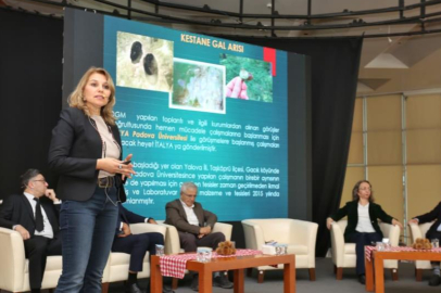 Kestane Bursa Büyükşehir'le filizleniyor