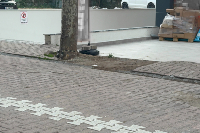 Kocaeli'de çöpe atmak için yerden aldığı kargo poşetinin içinden 60 bin dolar çıktı