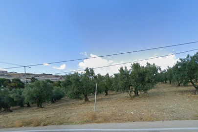 Bursa'da tarım arazileri hakkında imar kararı! Parsel parsel ilan edildi