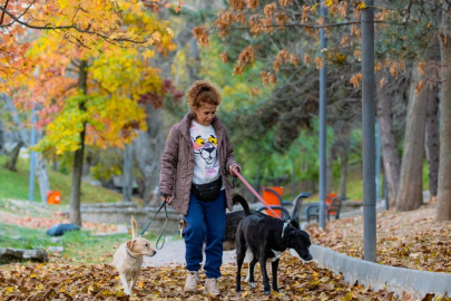 Meteoroloji Bursa için duyurdu: Hafta sonu yağmur yağacak mı? Bugün hava nasıl olacak? (11 Aralık 2025 Hava Durumu)