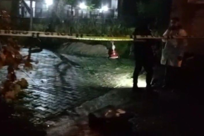 Ordu'da fındık fabrikasının yanına el yapımı patlayıcı atan şüpheli yakalandı