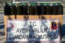 Aydın Köşk’te 500 kilogram sahte zeytinyağı yakalandı
