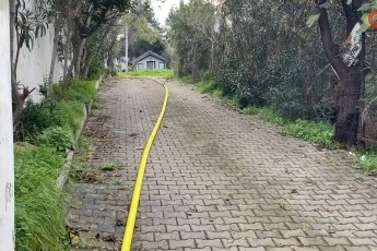 Bursa'da çamlık alanda çıkan yangın büyümeden söndürüldü