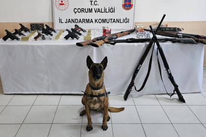 Çorum jandarmasından 'düğün magandaları'na operasyon : 11 gözaltı