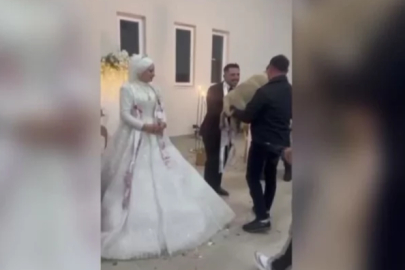 Denizli'de düğün hediyesi şaşırttı: Takı yerine çoban köpeği