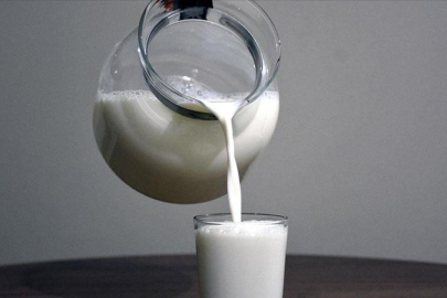 Toplanan inek sütü miktarı ekimde 895 bin 834 ton oldu