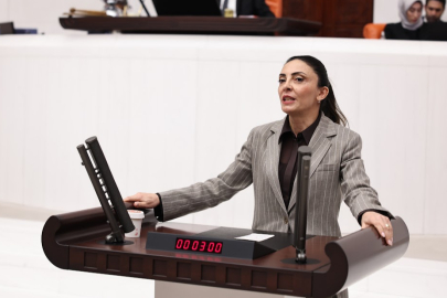 CHP Bursa Milletvekili Nurhayat Altaca Kayışoğlu: Özgür sanat olmadan demokrasi olmaz