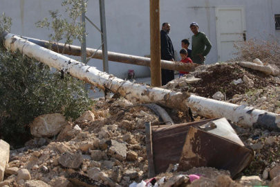 İsrail, Batı Şeria'da bir haftada 1608 zeytin ağacını kökünden söktü