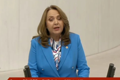 TBMM kürsüsüne bebek arabasıyla çıktı: 'Yeni doğan bebeğin aylık maliyeti 15 bin lira'