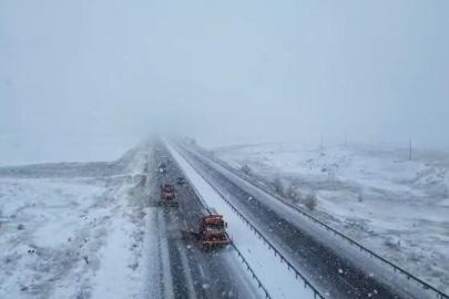 Turuncu kaplanlar "kar" mesaisinde