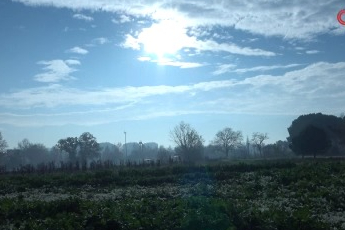 Bursa'da sebze ve meyveler ata tohumundan ilaç kullanılmadan üretiliyor