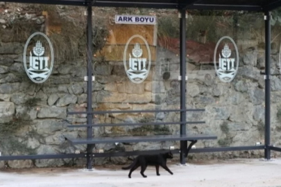 İstanbul Beykoz'da otobüs duraklarına zarar veren 2 şahıs yakalandı