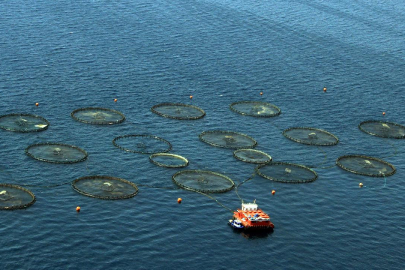 Türkiye, Akdeniz ve Karadeniz balıkçılığında lider