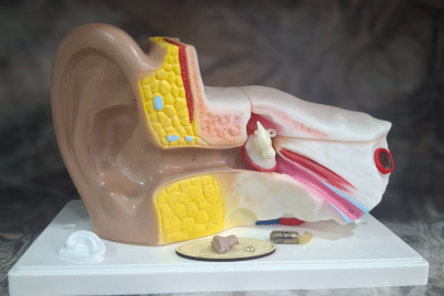 Bursa'da atık piller işitme engellilere ‘ses’ oluyor