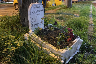 Bursa'da taksiciler ölen muhabbet kuşları için mini mezar yaptılar