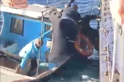 Çanakkale'de feribottan atlayan kişiyi Gestaş personelleri ve balıkçılar kurtardı