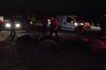 Malatya'da hafif ticari araç sürüye daldı, 10'dan fazla koyun telef oldu