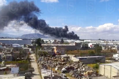 Meksika’da küçük uçak düştü: En az 7 ölü