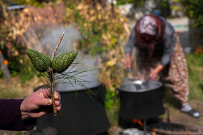 Tam bir şifa deposu: Uludağ'ın ormanlarından toplayıp pekmez yapıyorlar