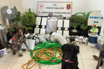 Düzce'de uyuşturucu ticareti yapan 1 kişi gözaltına alındı