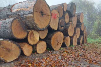 İSTİFLEME İŞİ HİZMET ALIMI