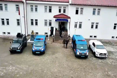 Sivas’ta 10 kaçak göçmen yakalandı