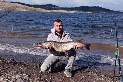 Balıkesir Sındırgı'da dev turna balığı yakalandı