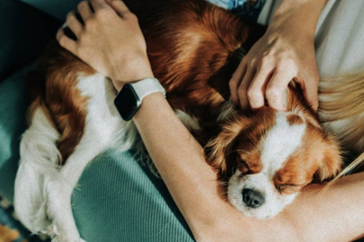 Köpeğinin "aile üyesi" sayılması için dava açtı