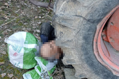Bolu'da kontrol etmek istediği traktörünün altında kalan yaşlı adam yaralandı