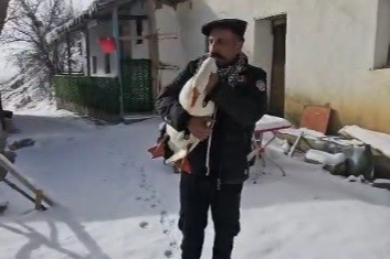 Keseceği kazdan helallik istedi