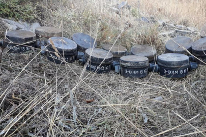 Polonya doğu sınırına anti-personel kara mayınları konuşlandıracak