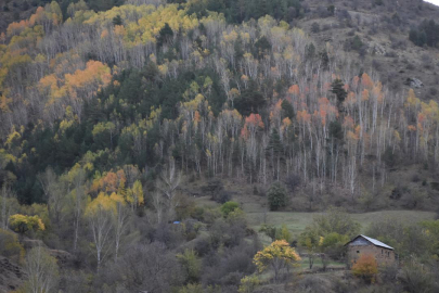 Doğal sit alanı büyüklüğü 28 bin 907 kilometrekareye ulaştı