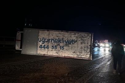 Bursa'da devrilen kamyonun şoförü yaralandı