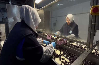 Bursa'dan 65 ülkeye ihraç edilen Türk zeytini, zeytinyağlı çikolata ve kozmetik ürünlerle de raflarda yer alacak