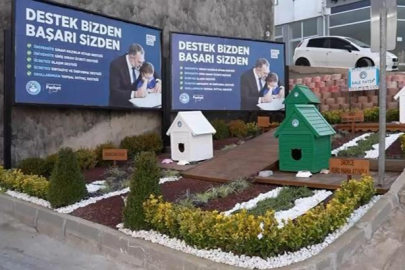 Bursa Kestel Belediyesi’nden sokak kedilerine; ‘Kale Paty’ projesi