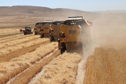 156 yerel eylem grubuna 2,2 milyar lira hibe desteği