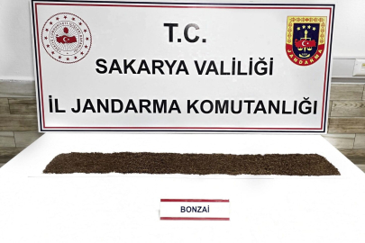 Ssakarya'da jandarma uyuşturucuya geçit vermiyor: 1 tutuklama