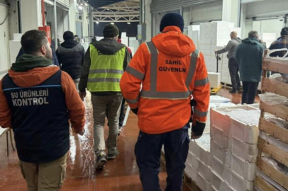 Bursa'da balık halinde operasyon! Tam 600 kilo: Hepsine el koyuldu...