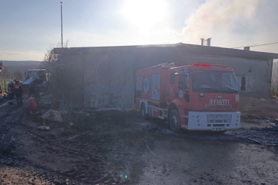 Kırklareli Vize'de palet fabrikasının deposunda yangın