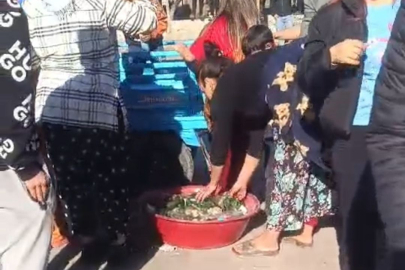 Adana'da bir mahalle taş, şişe ve sopalarla birbirine girdi