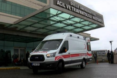 Cezaevinden çıkan cani hemen elini kana buladı! Diyarbakır'da korkunç kadın cinayeti