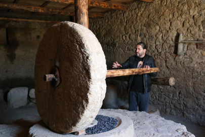 Syedra Antik Kenti'nin zeytinyağı üretim merkezi olduğu tespit edildi