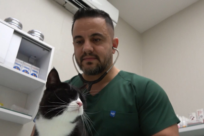 Bursa'da sokak hayvanlarına ücretsiz kısırlaştırma ve check up imkanı