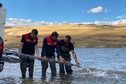 Türkiye nüfusu kadar balık deniz ve göllere bırakıldı