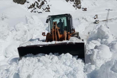 Artvin'de çığ düştü! Vali duyurdu: Çobanlar altında kalmış olabilir