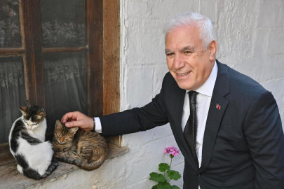 Bursa Büyükşehir patili dostların yanında