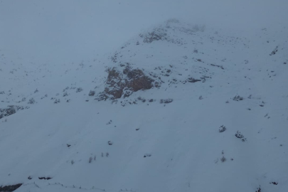 Batman’da ağıla çığ düştü: 45 küçükbaş hayvan telef oldu